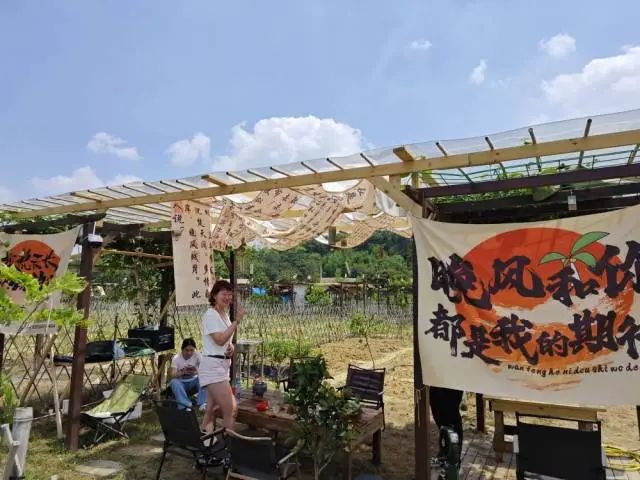 全域土地综合整治，广州全域土地综合整治，黄埔全域土地综合整治1